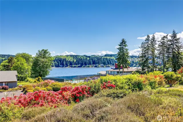 Looking over the tennis and pickleball courts you'll have a great view of Port Ludlow Bay and all the boats coming and going into the safety of the marina.