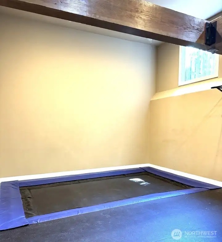 Trampoline room/home gym.
