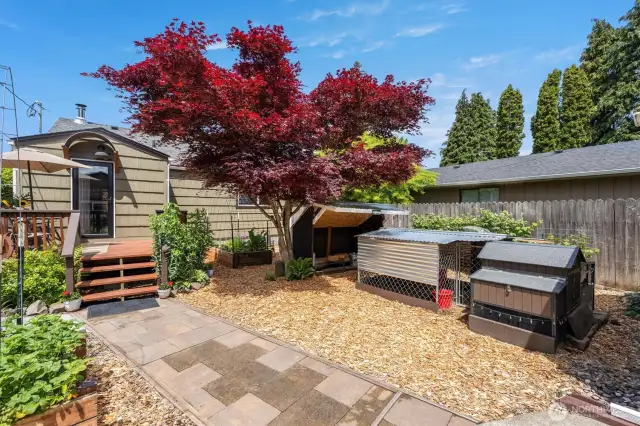 Chicken Coop