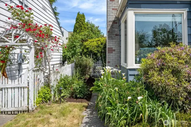 Side yard entrance with gate to the backyard, and beautiful plantings throughout.