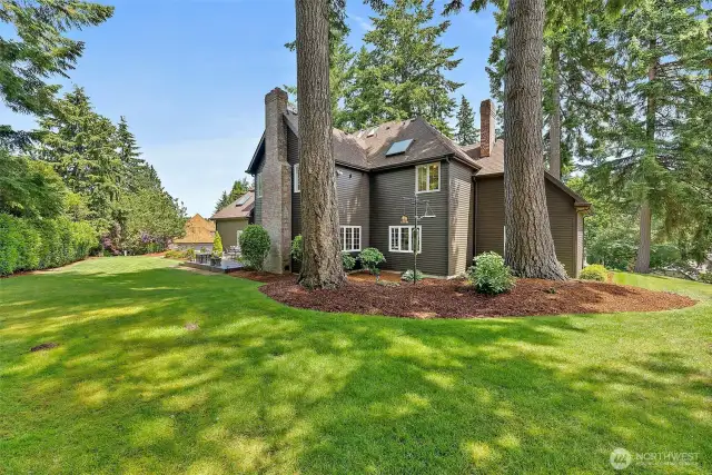 Spacious Backyard