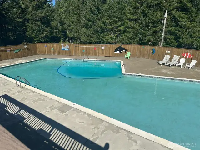 Colony Surf Pool