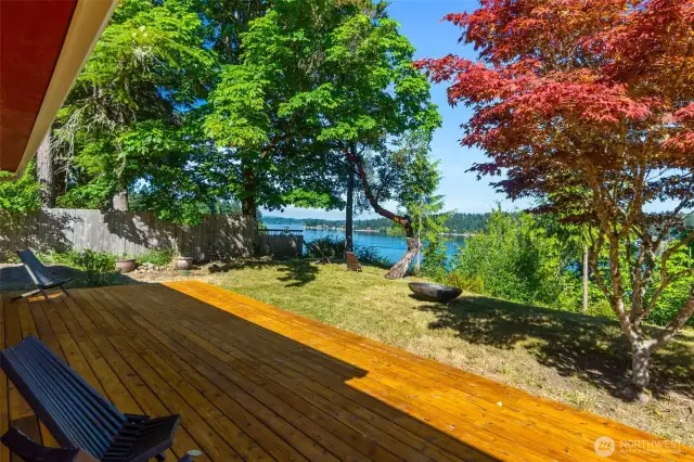 New Back deck with fresh coat of stain