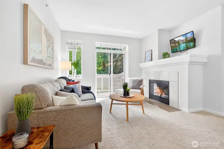 Living room, TV comes with unit