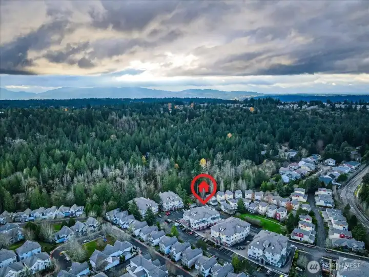 Restaurants, shopping, the lake are all so close!