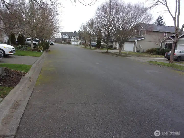 Street view shows a newer well-maintained neighborhood.