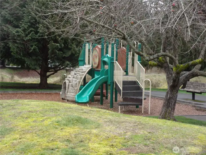 A place for the young and young at heart to play.