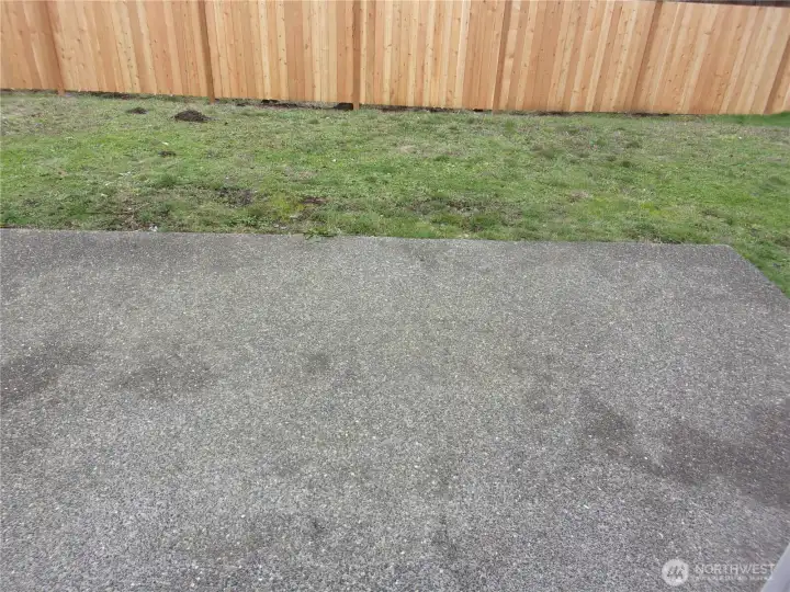 Back yard and patio.
