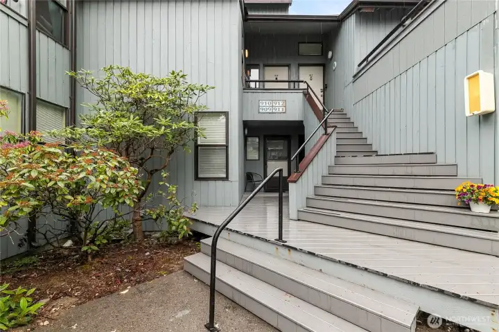 Front door steps