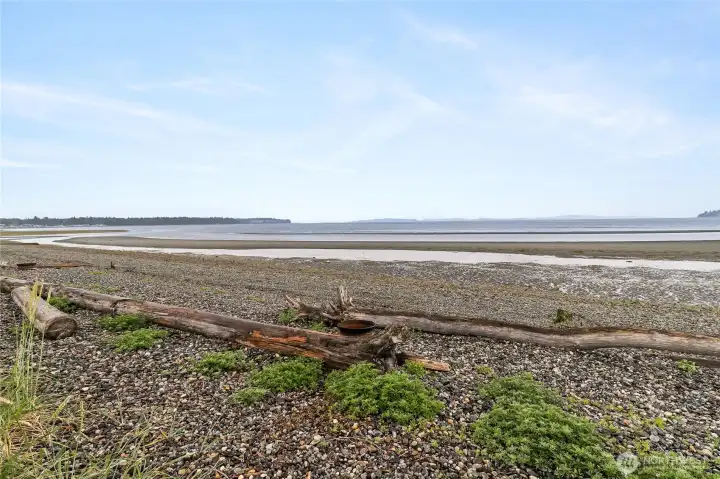 Birch Bay