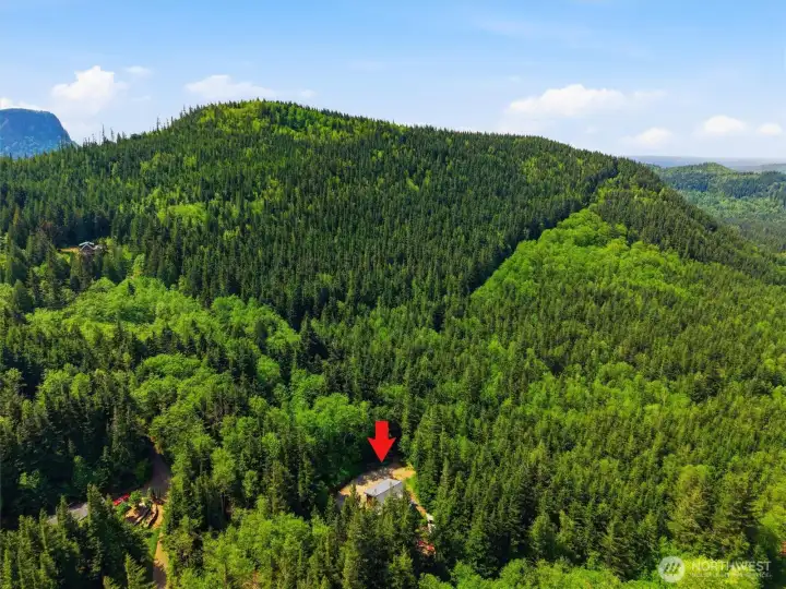 Over 6 acres of private unprecedented Northwest beauty