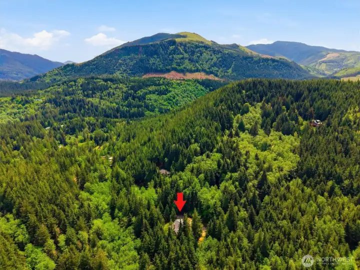 Over 6 acres of private unprecedented Northwest beauty