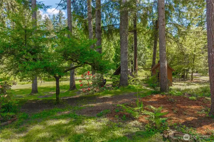 well maintained yard