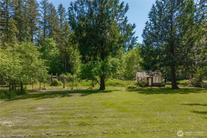 fenced orchard to the left, fenced garden straight ahead next to greenhouse
