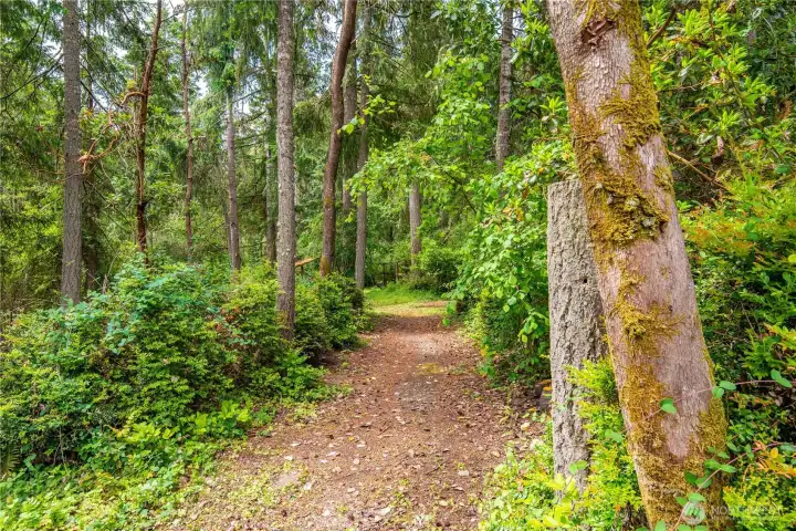 Private wooded trail and natural landscape setting.