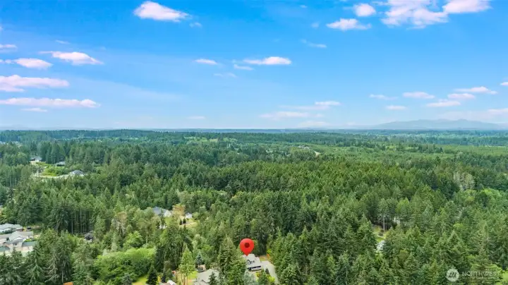 Aerial overview highlighting surrounding neighborhood and wooded setting.