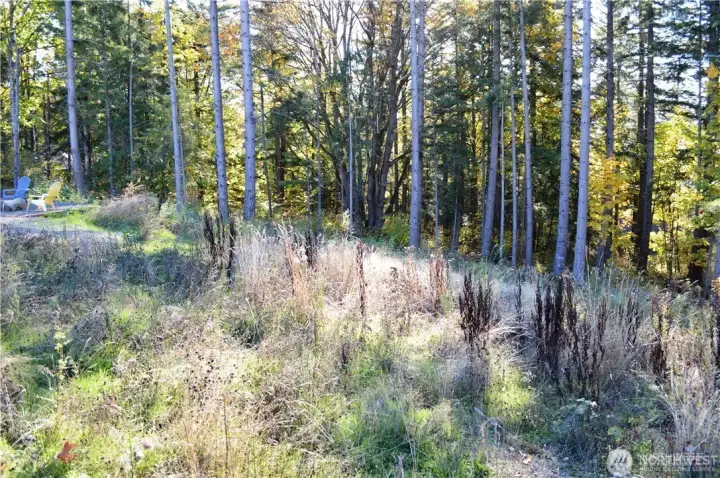Looking south along easterly property line.