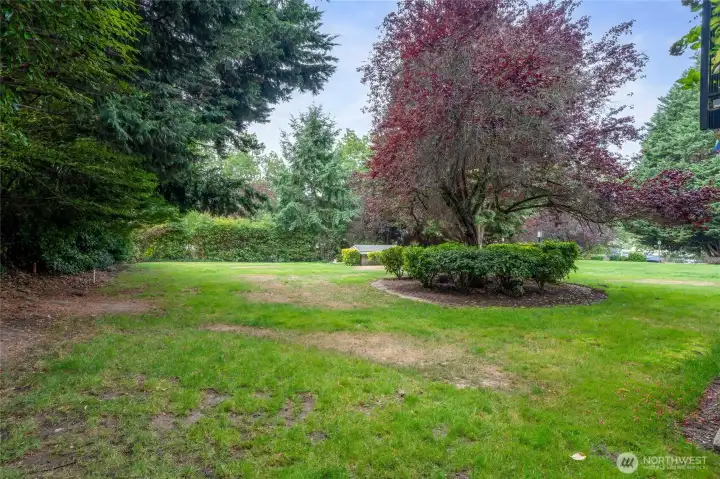 Nice grassy area right outside your patio door