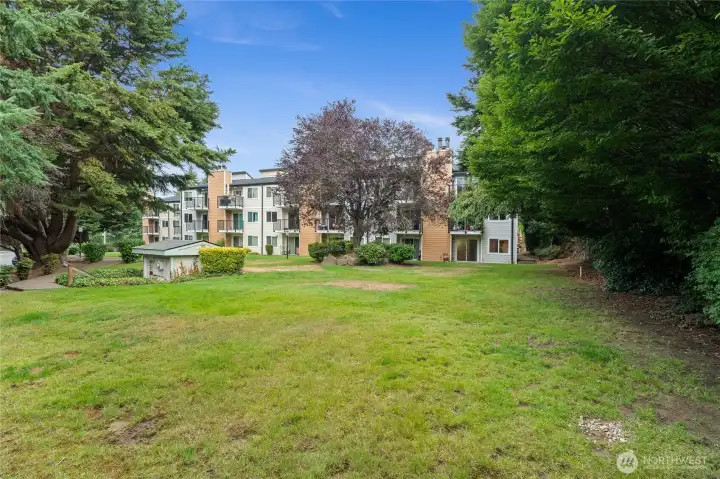 Looking back to your apartment building shows the depth of the landscaping