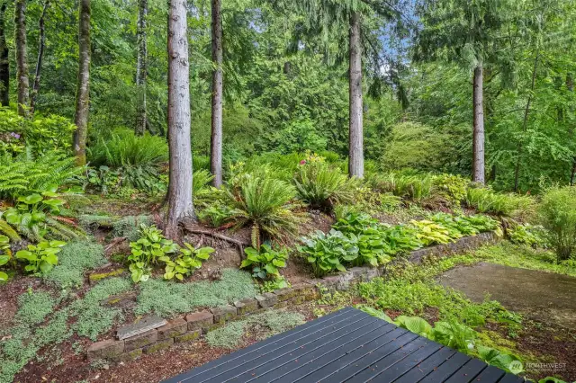 PRIVATE backyard...so green and lush!