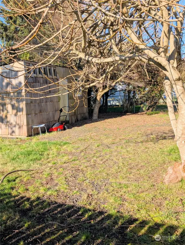 Back yard with storage shed.