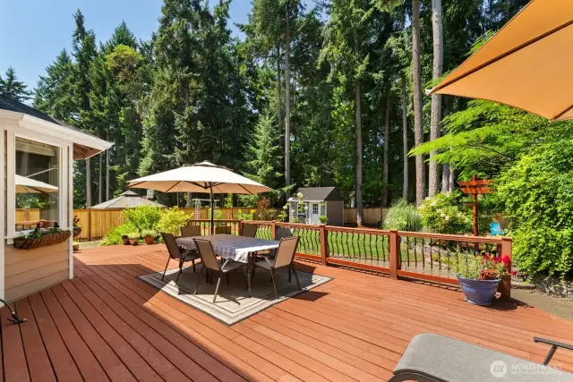 Back deck