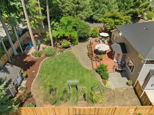 back yard