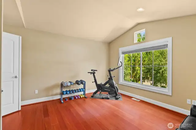 Guest room, Bonus Room, Or 2nd office