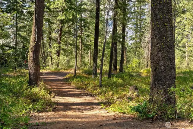 Direct access to Methow Trails system for year-round recreation. Wilson Ranch community pool and hot tub just a short stroll away.