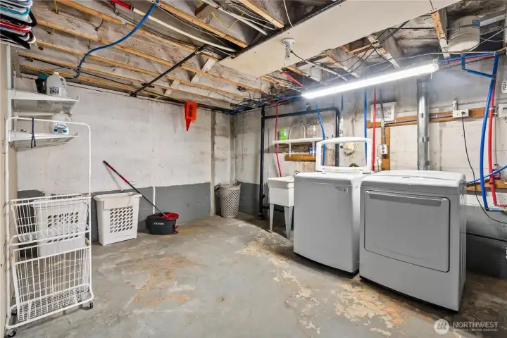 Unfinished Basement