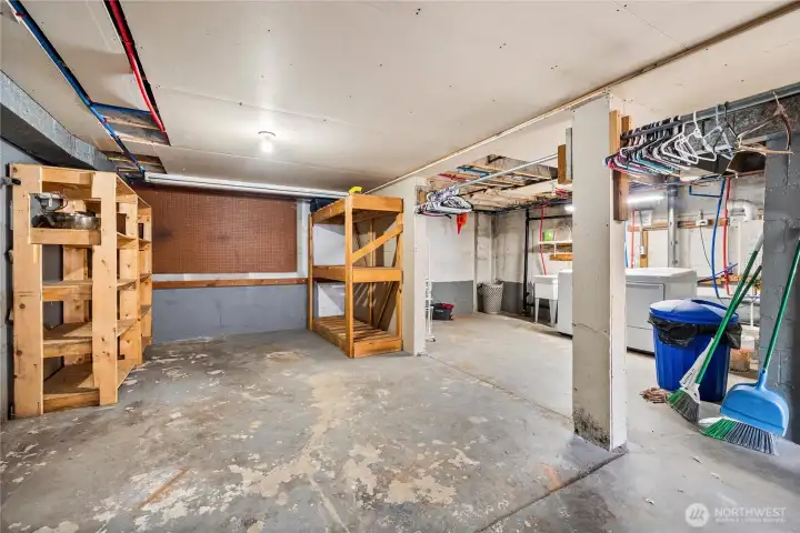 Unfinished Basement