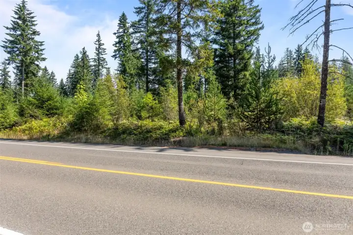 This is the easement access from Carney Lake Road. Thinking of bringing your horses? Great way to get the trailer in and out having a second access point to the barn? Just a thought! This is the only lot with a second access point. This was a logging access point from original owner.