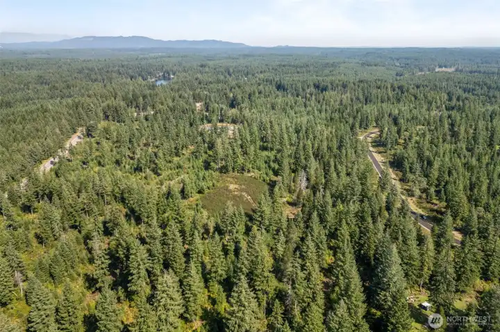 Granted access to riding trails and hiking via the neighboring tree farm.