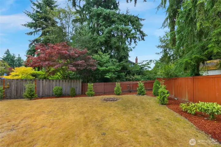 Backyard with firepit