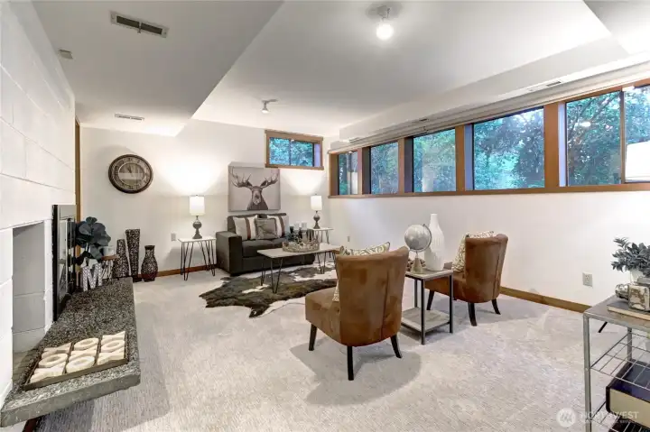 Lower level family room