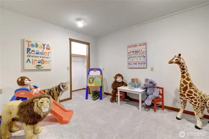 Lower level 3rd bedroom