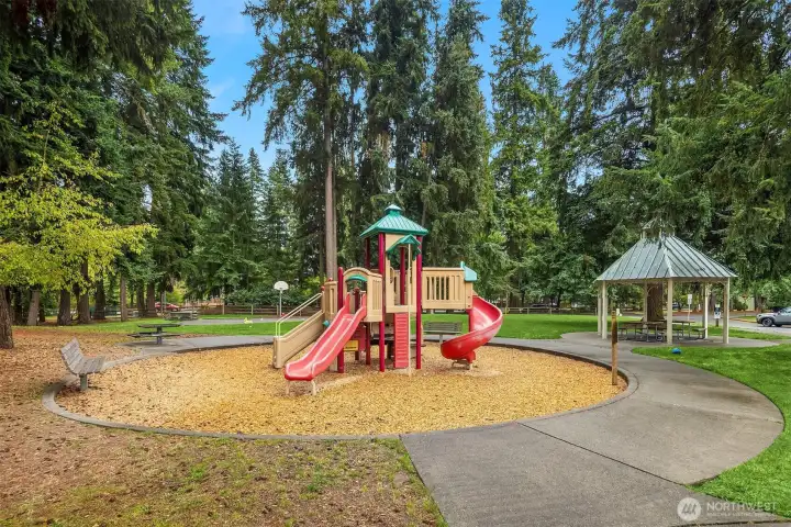 Neighborhood park with a playground, picnic shelter, and walking paths set among mature evergreens.