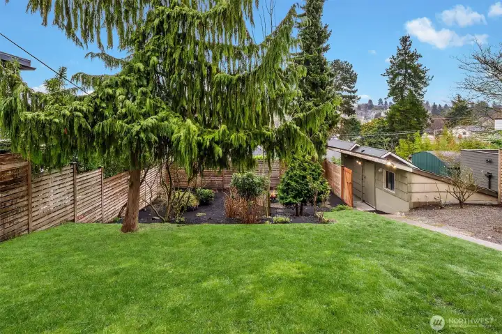 Large backyard area for fun and games.