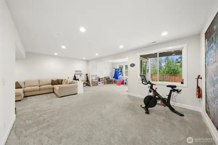 Lower level rec room