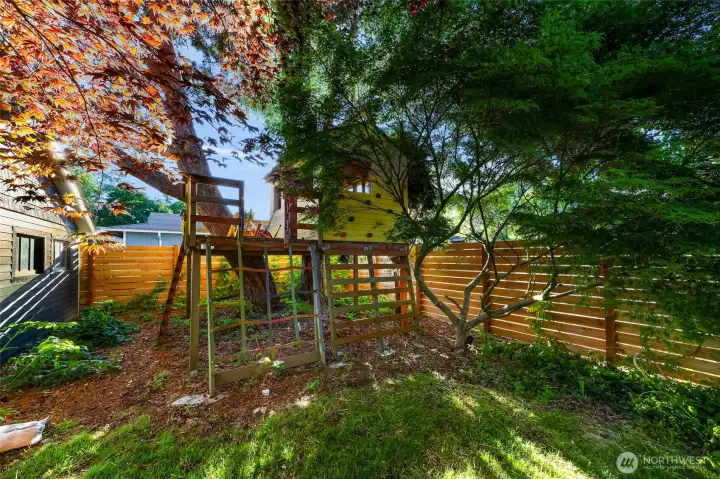 Tree house!