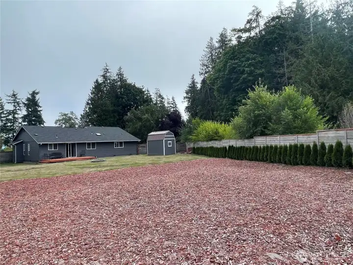 Backyard Backyard