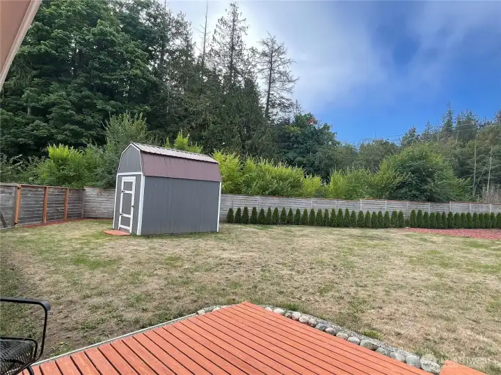 Backyard with workshop shed Backyard with workshop shed
