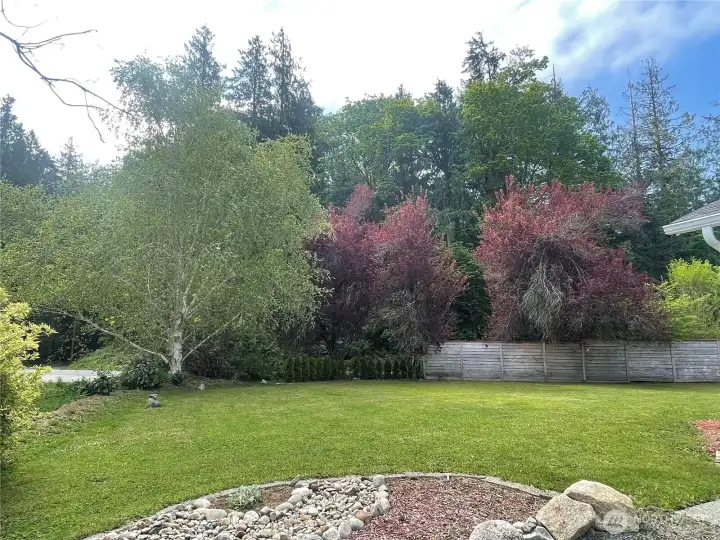 Side yard Side yard