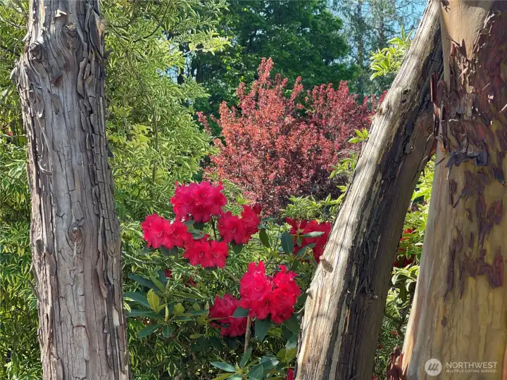 Beautiful landscaping Beautiful landscaping