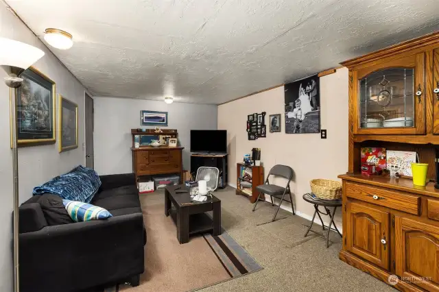 Cozy downstairs rec room and convenient laundry room