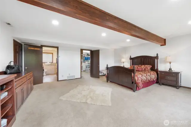 Second primary suite in lower level with walk-in closet, a soaking tub, walk-in shower and an elegant vanity with ample cabinetry.