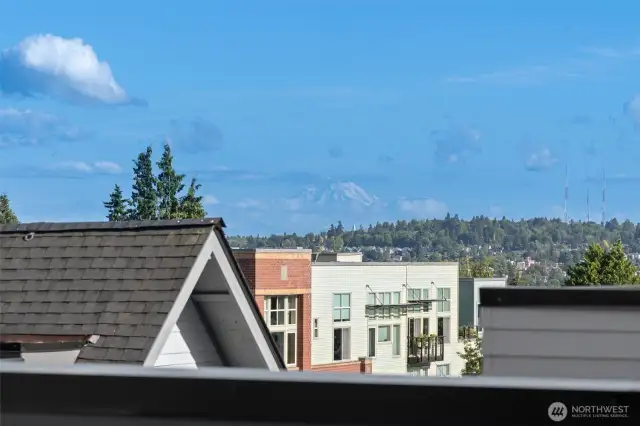 Mt Rainer views