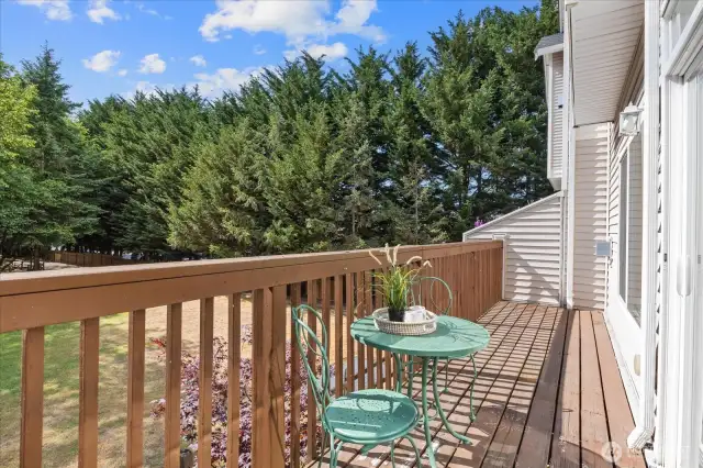 Morning Coffee or Evening BBQ with a Park View!