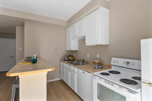 Lower Level Kitchen with New Floors over looking the park. Private Patio Entrance to your Income Potential, MIL Unit or Flex Space!