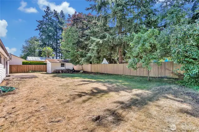 Partially fenced backyard